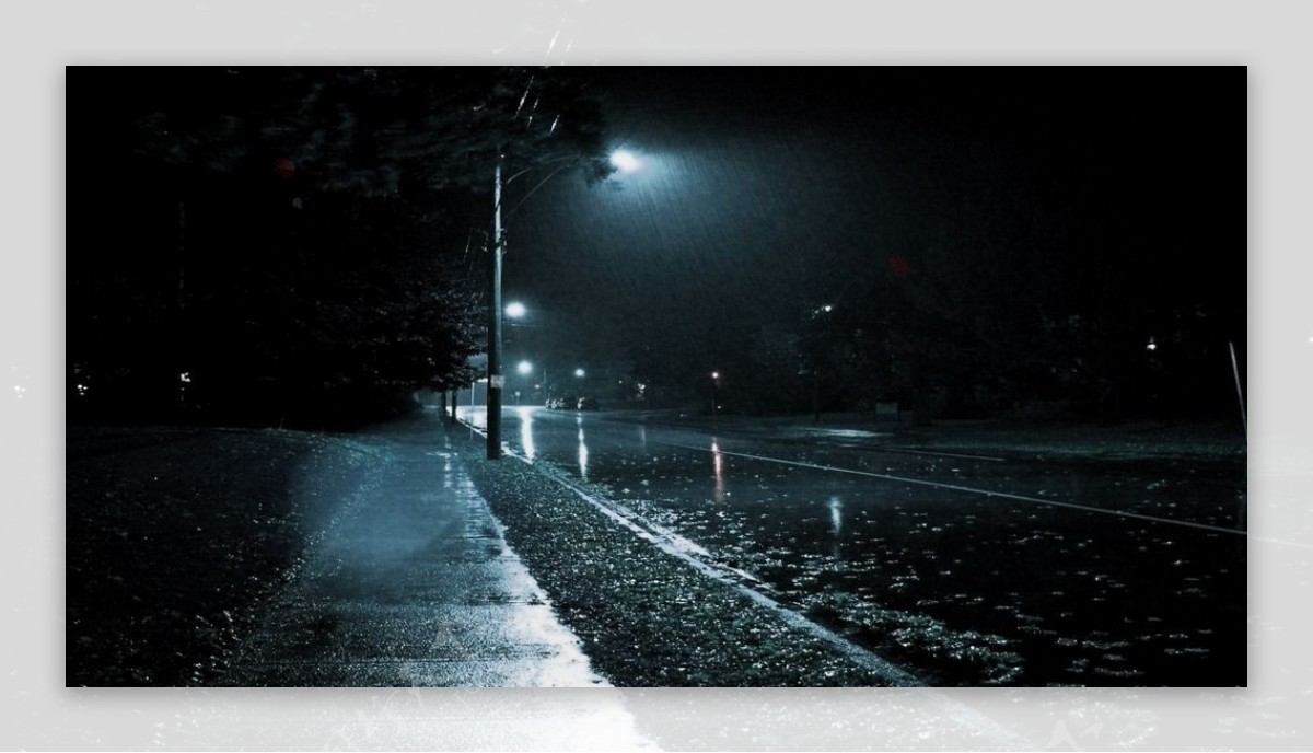 夜与雨图片