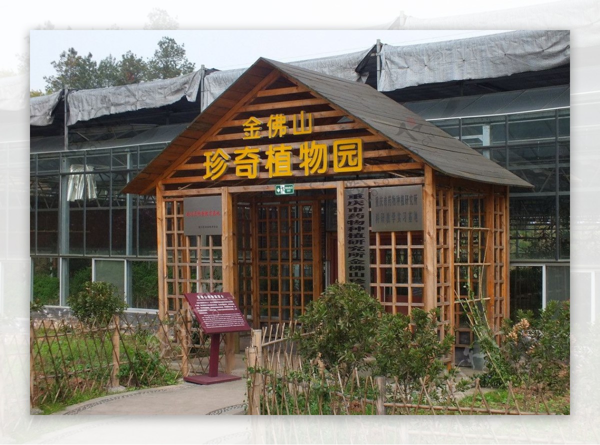 植物园景观摄影南川植物园图片
