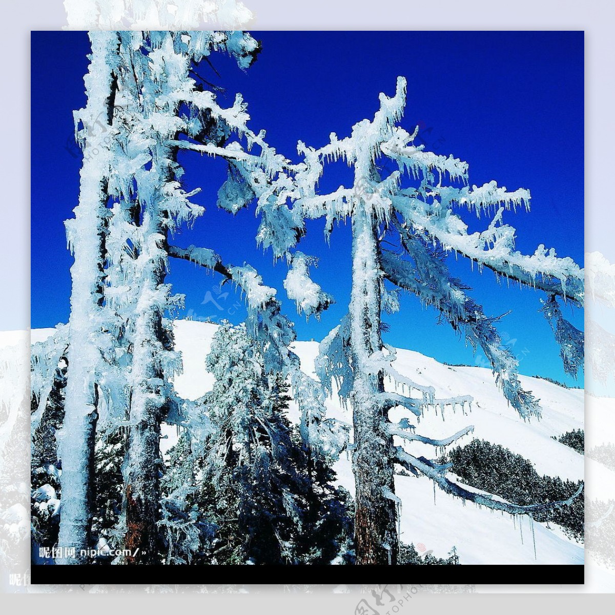 雪景14图片