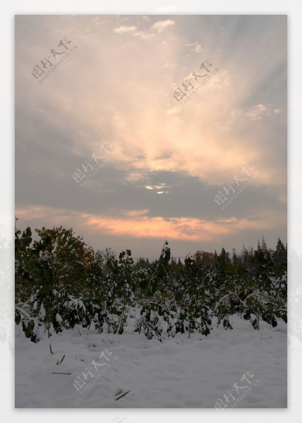 冬日图片