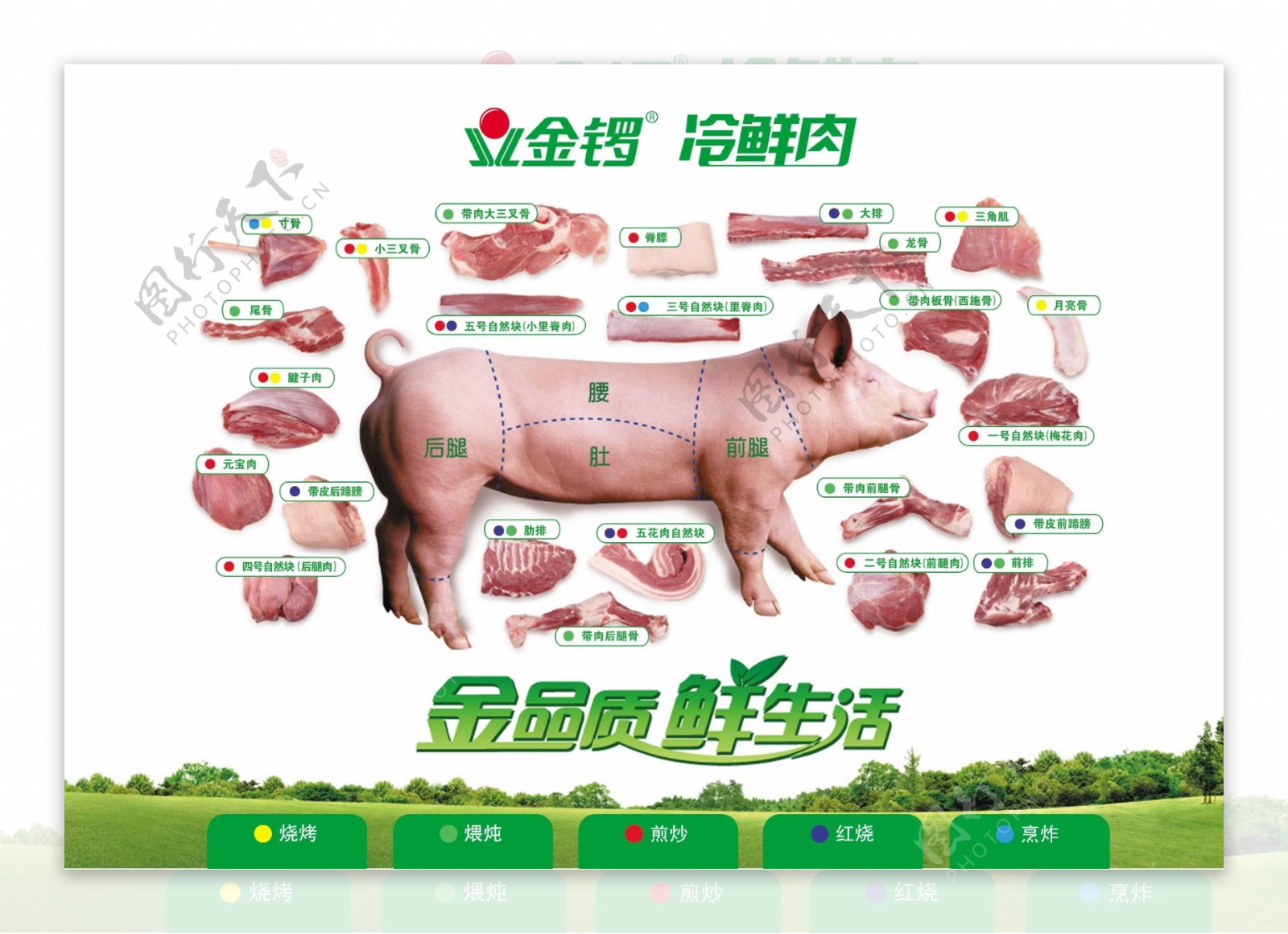 金锣冷鲜肉图片