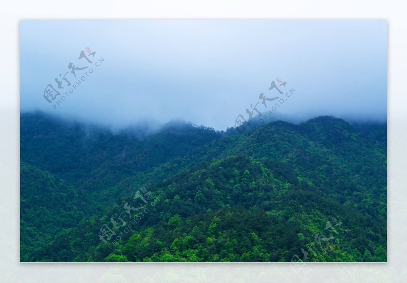 雨中雾中之新昌天姥山图片