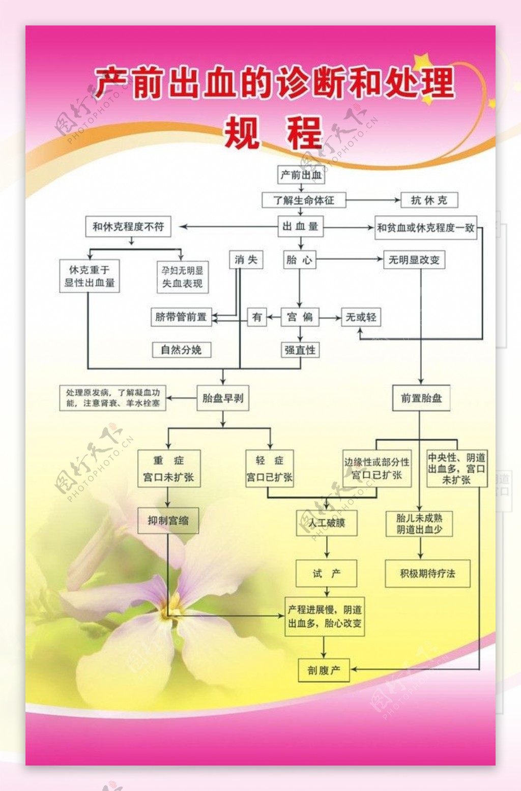 妇产科流程图图片