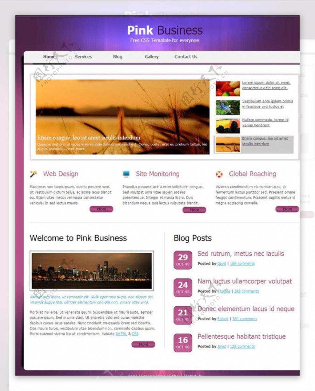 紫色商务CSS网页模板图片
