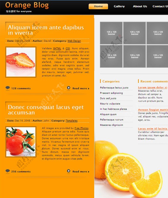 橙色的博客CSS网页模板图片