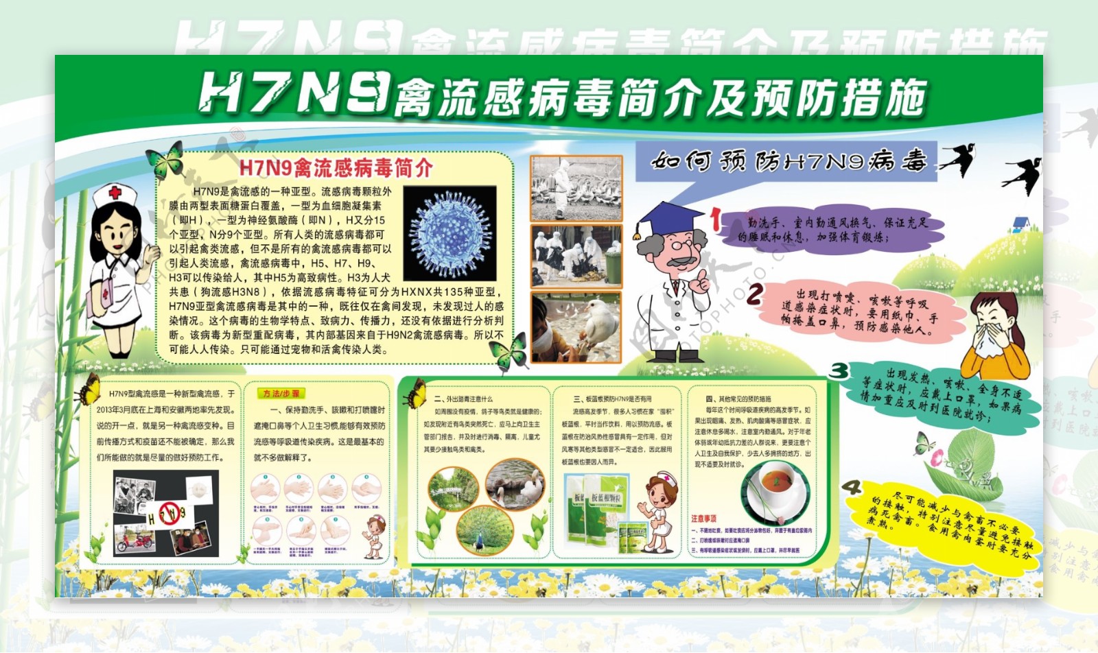 H7N9禽流感预防展图片