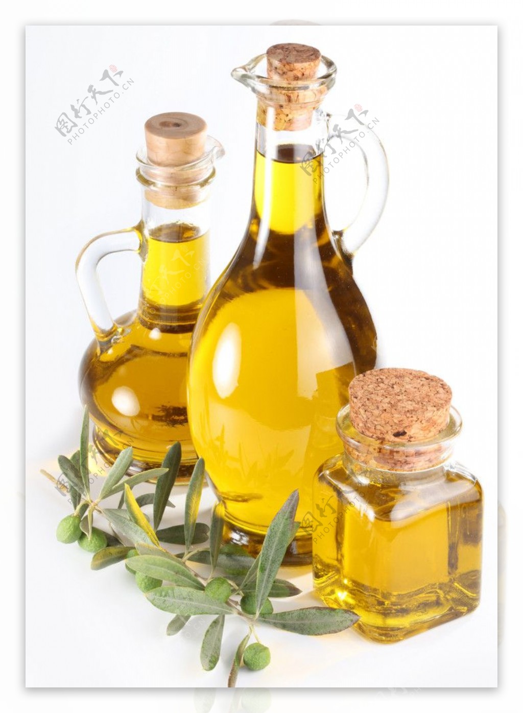 橄榄橄榄油图片