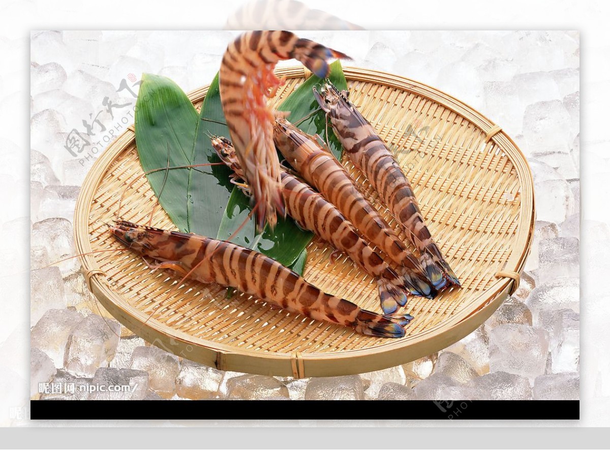 鲜活鸡尾虾图片