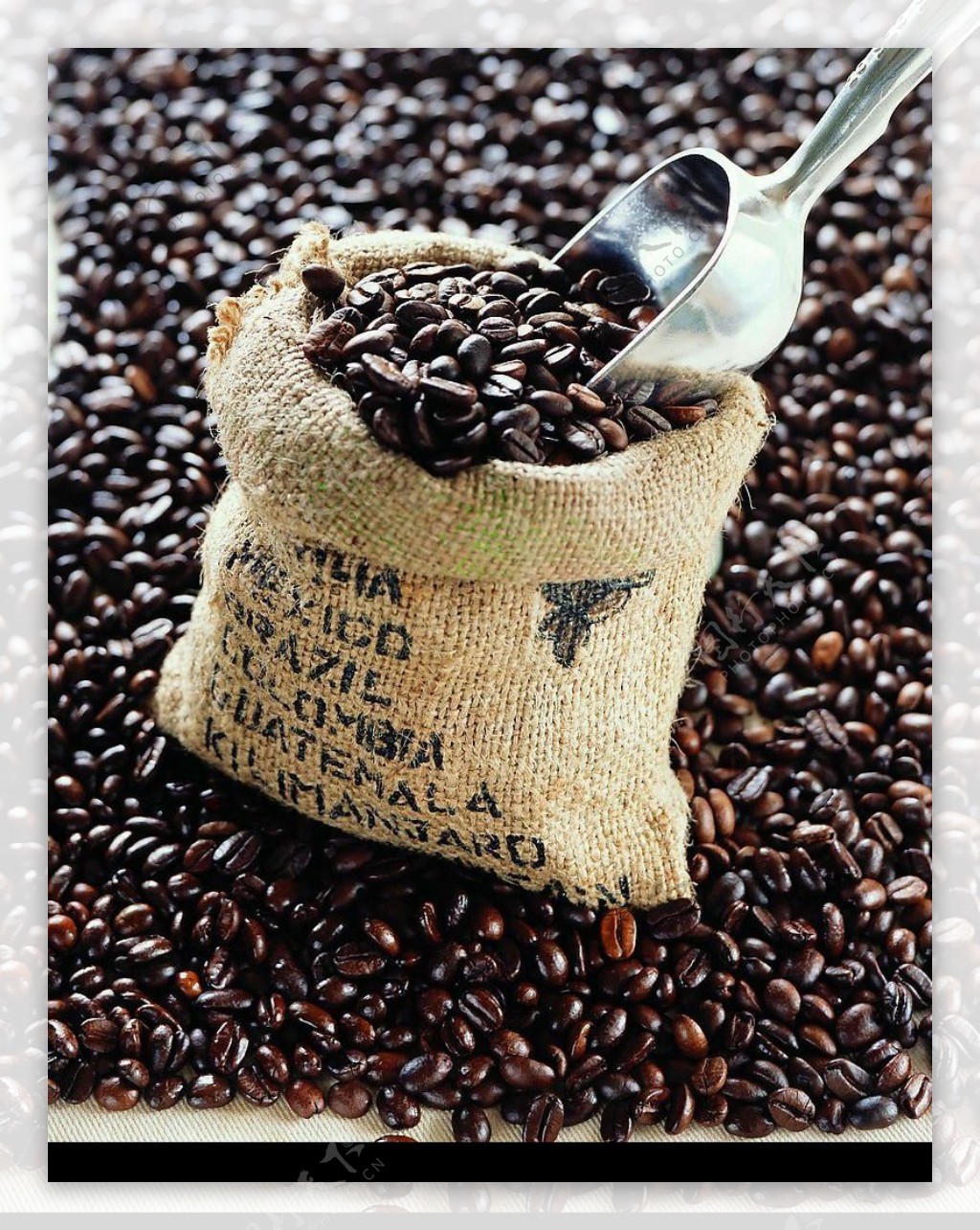 咖啡豆精品图片