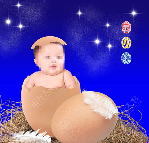 宝贝蛋图片