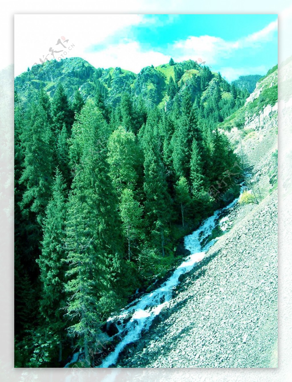 河流穿过青山绿树图片
