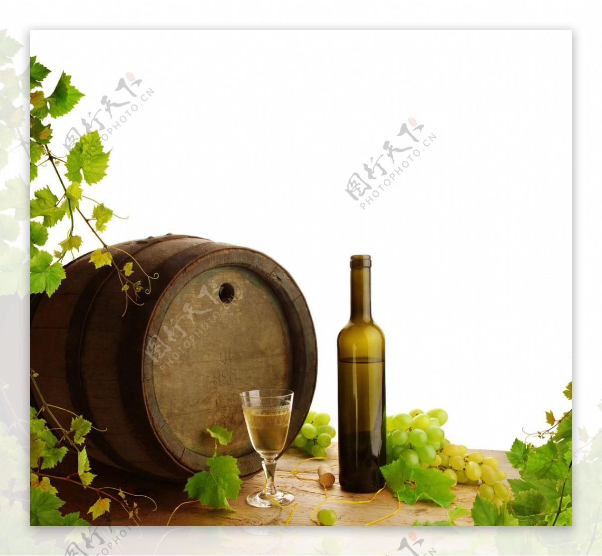 葡萄酒橡木桶图片