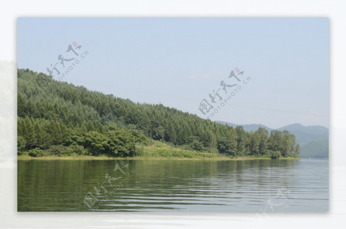 龙湖绿林图片