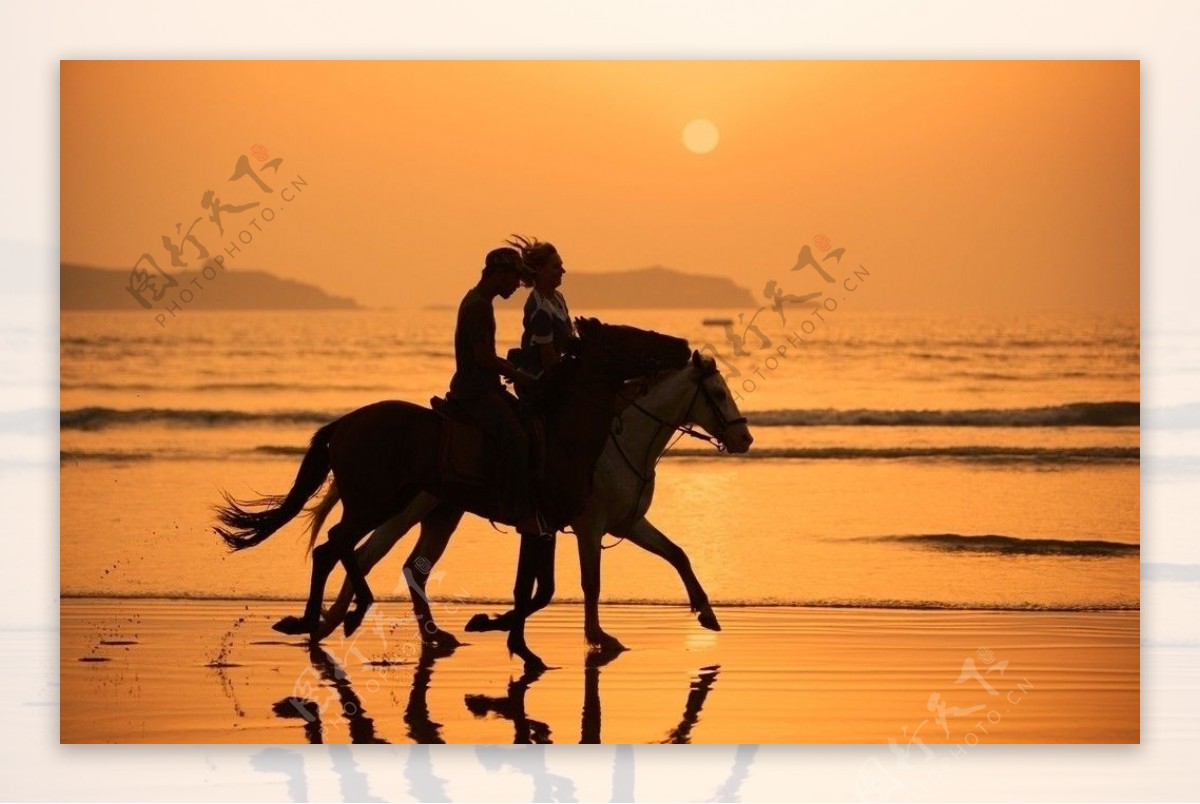 海滩骑马的身影图片