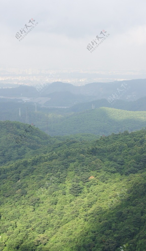 绿山风景图片