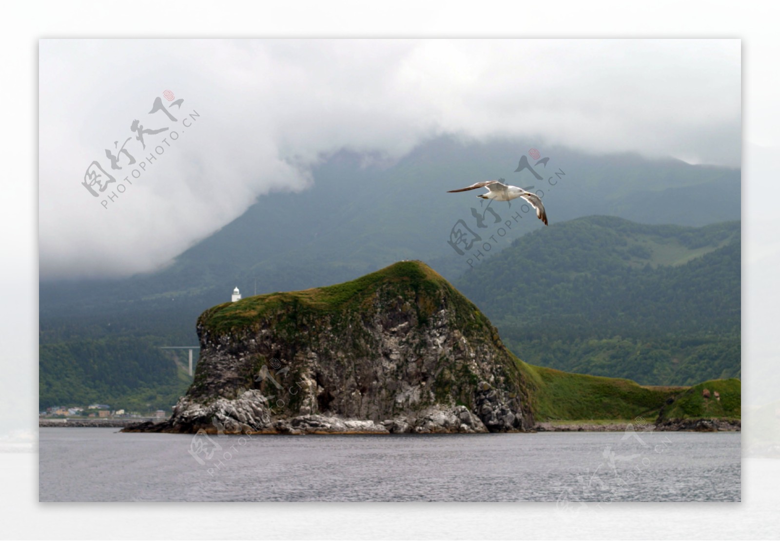 小岛和海鸥图片