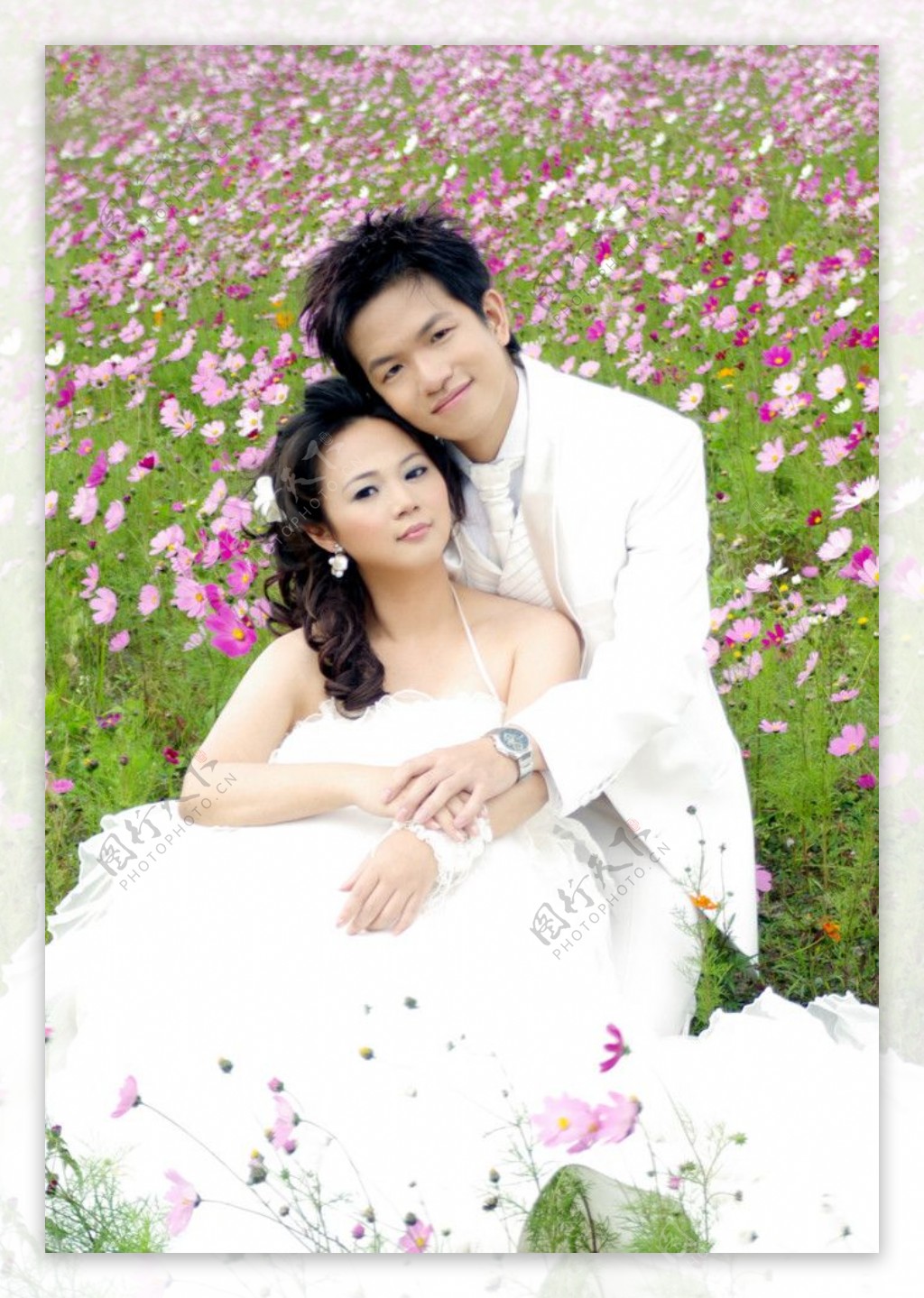 台湾浪漫婚纱图片