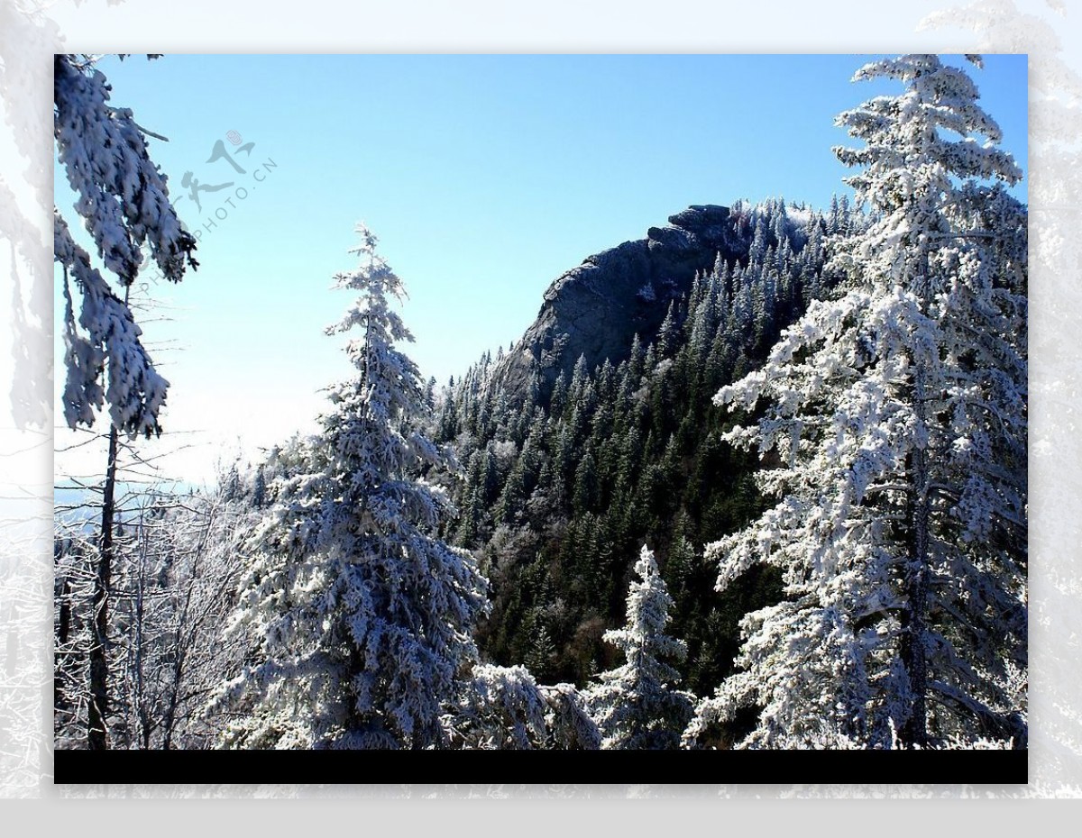 白色冬季美丽雪景图片