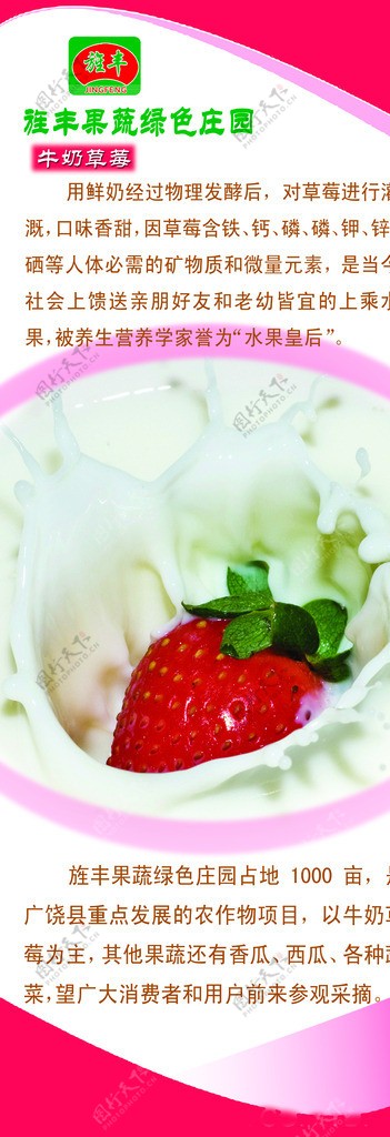 牛奶草莓简介展板图片