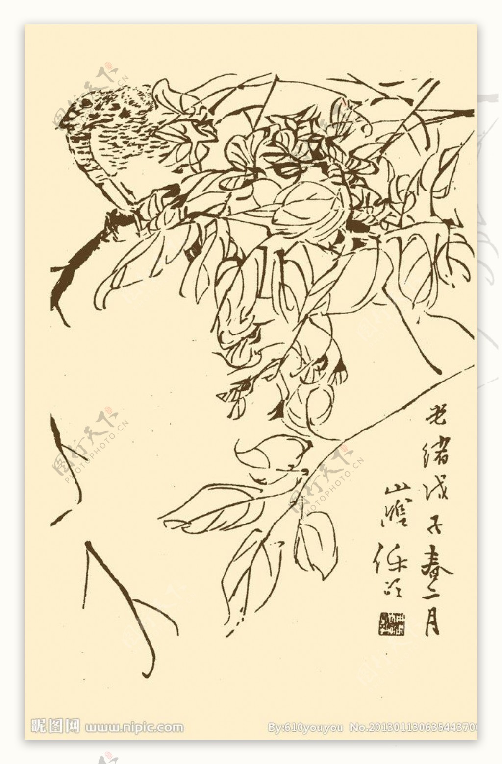 芥子园画谱花卉图片