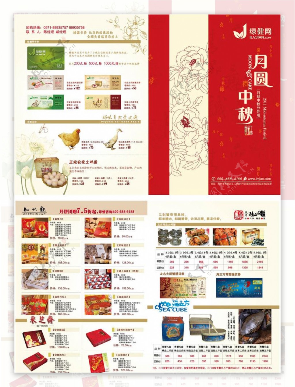 中秋节画册宣传单图片