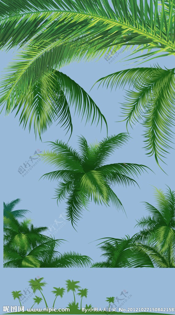 椰子树叶矢量图图片