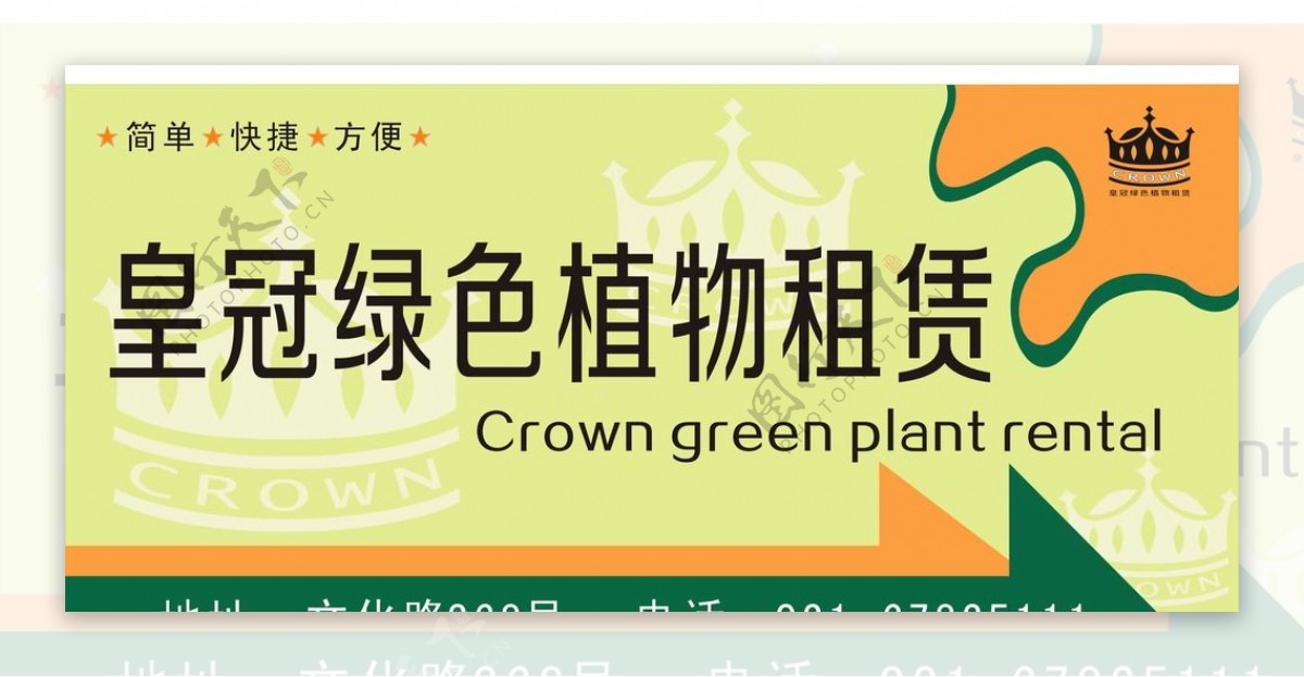 皇冠绿色植物租赁图片