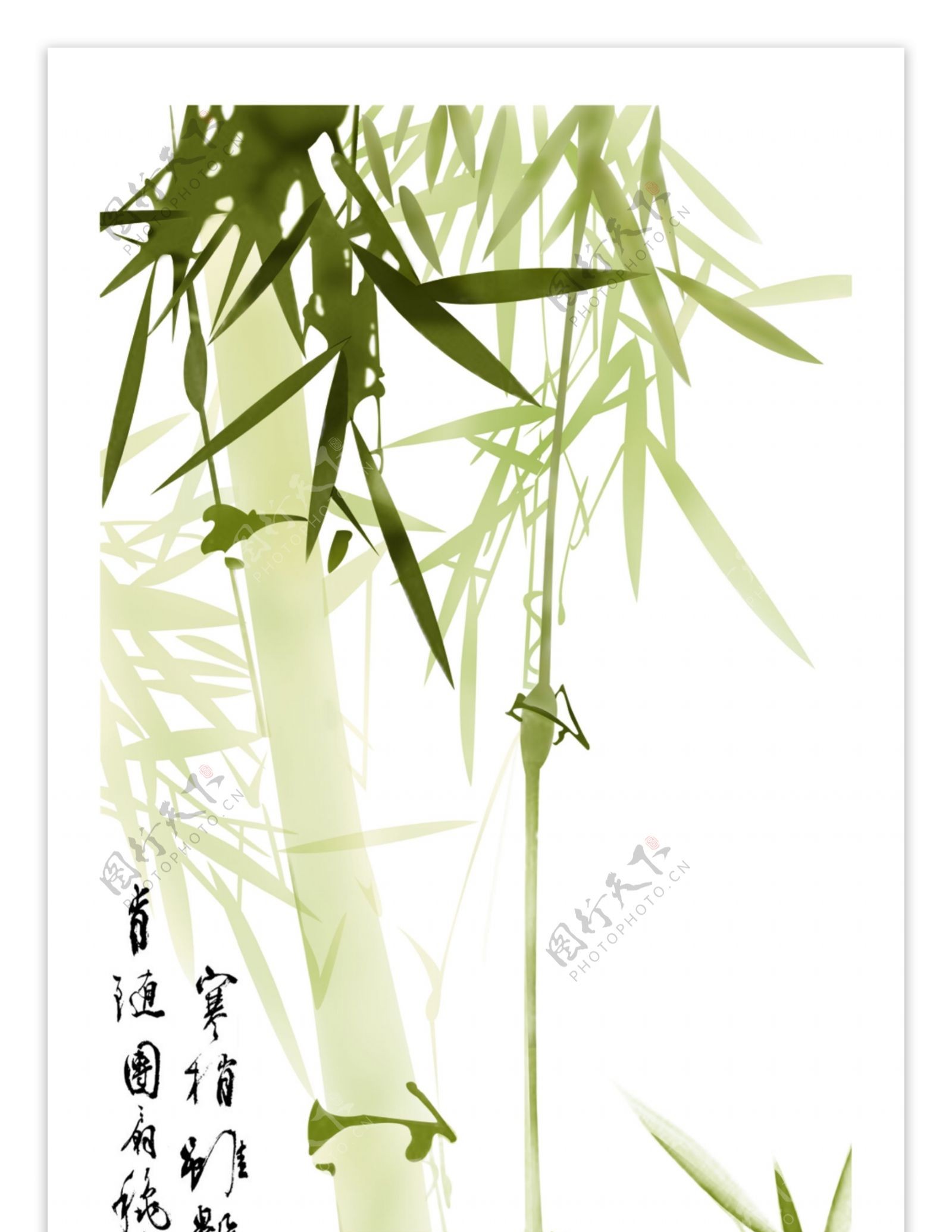 中国竹子展板图片