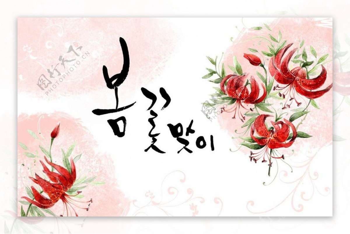 韩国鲜花背景图片