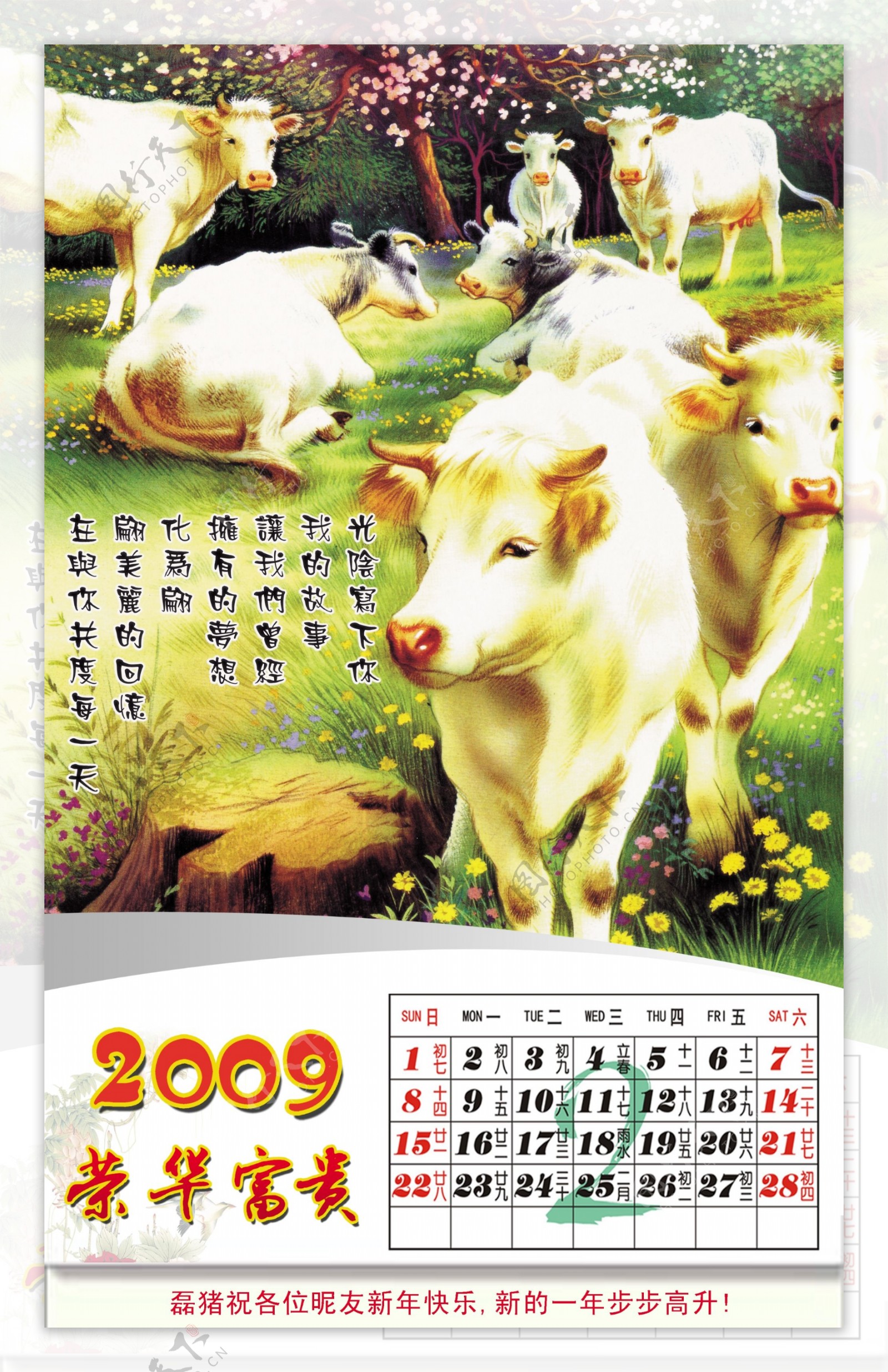 2009牛年挂历全套2月份图片