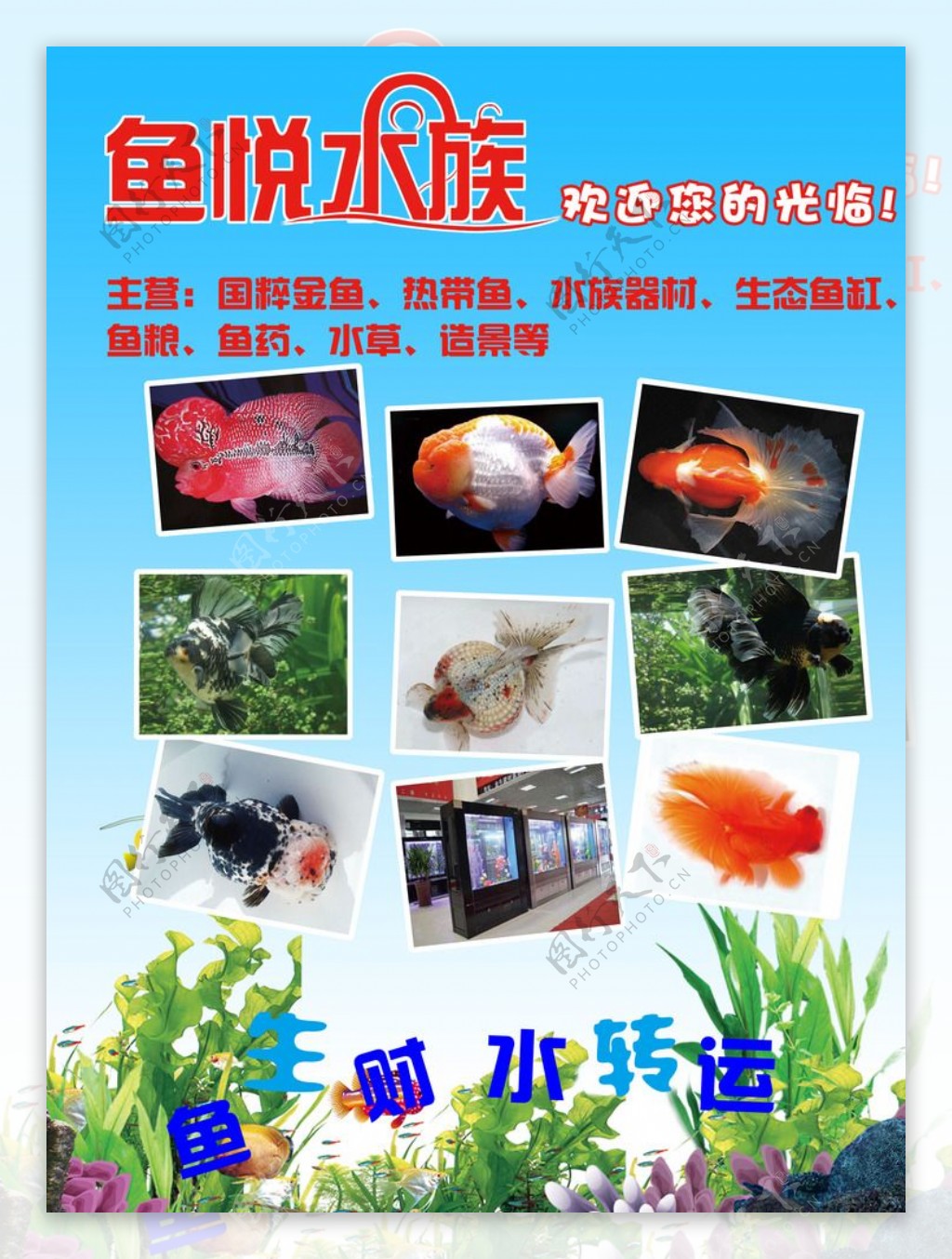 水族彩页分层图片