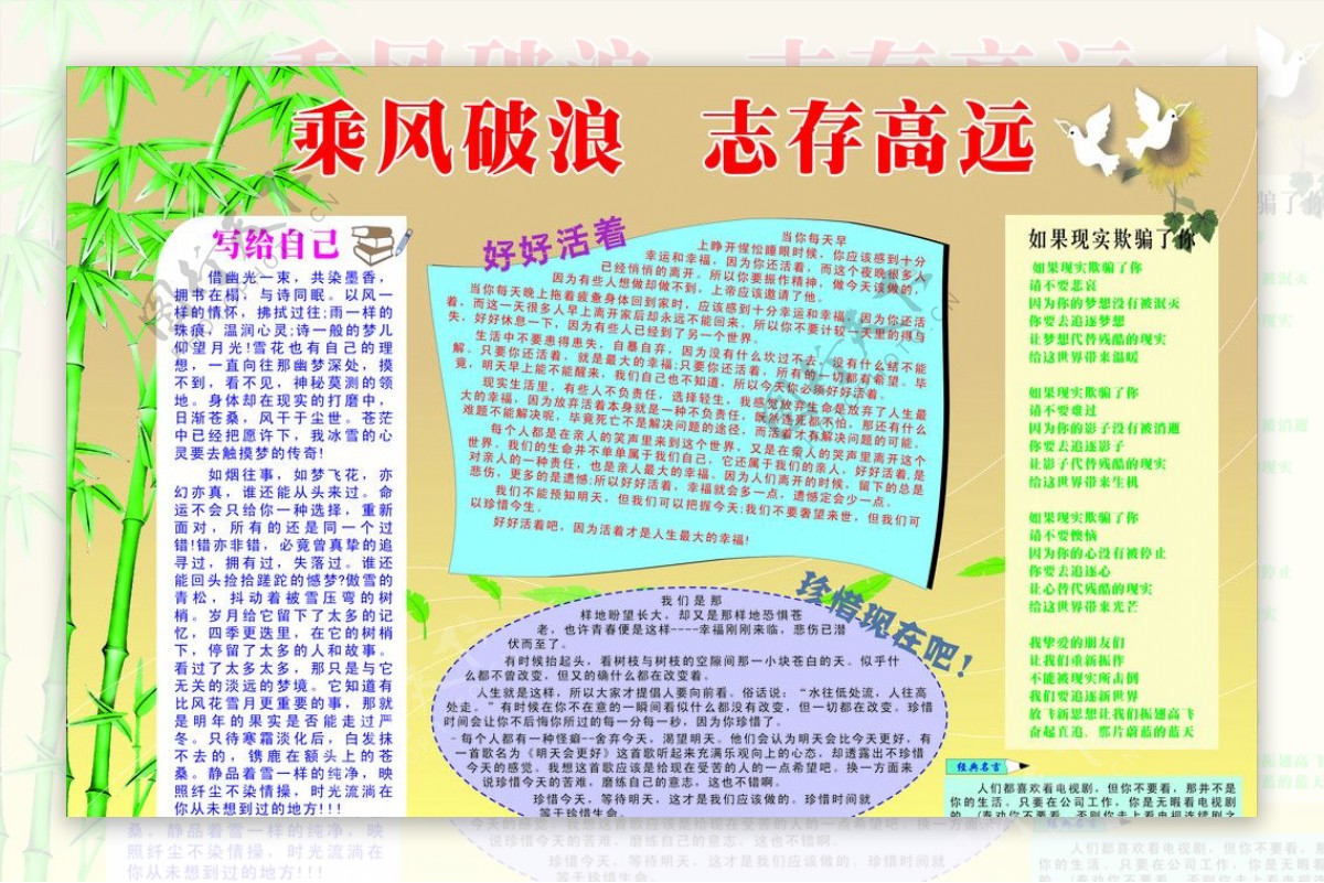 学校宣传栏图片