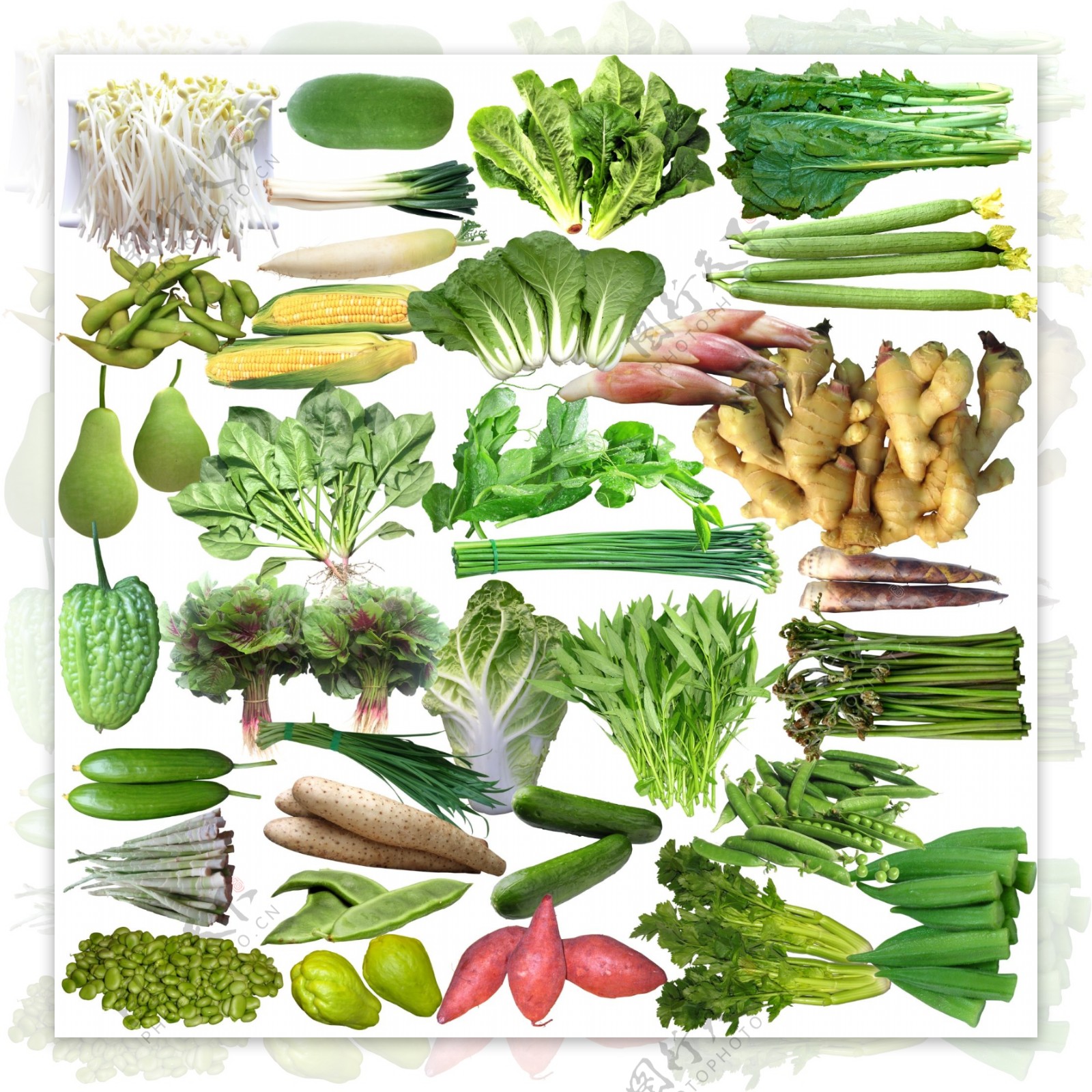 蔬菜合辑图片