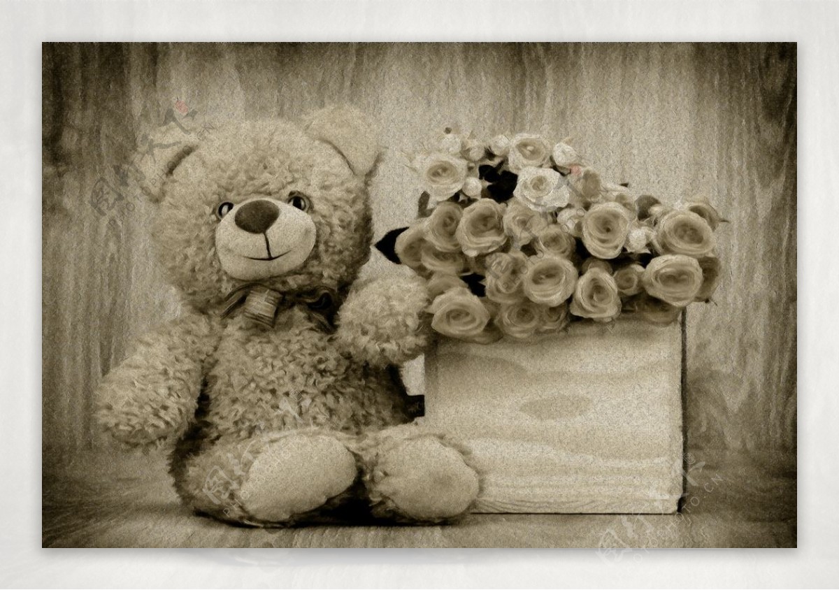 玩具熊和玫瑰图片