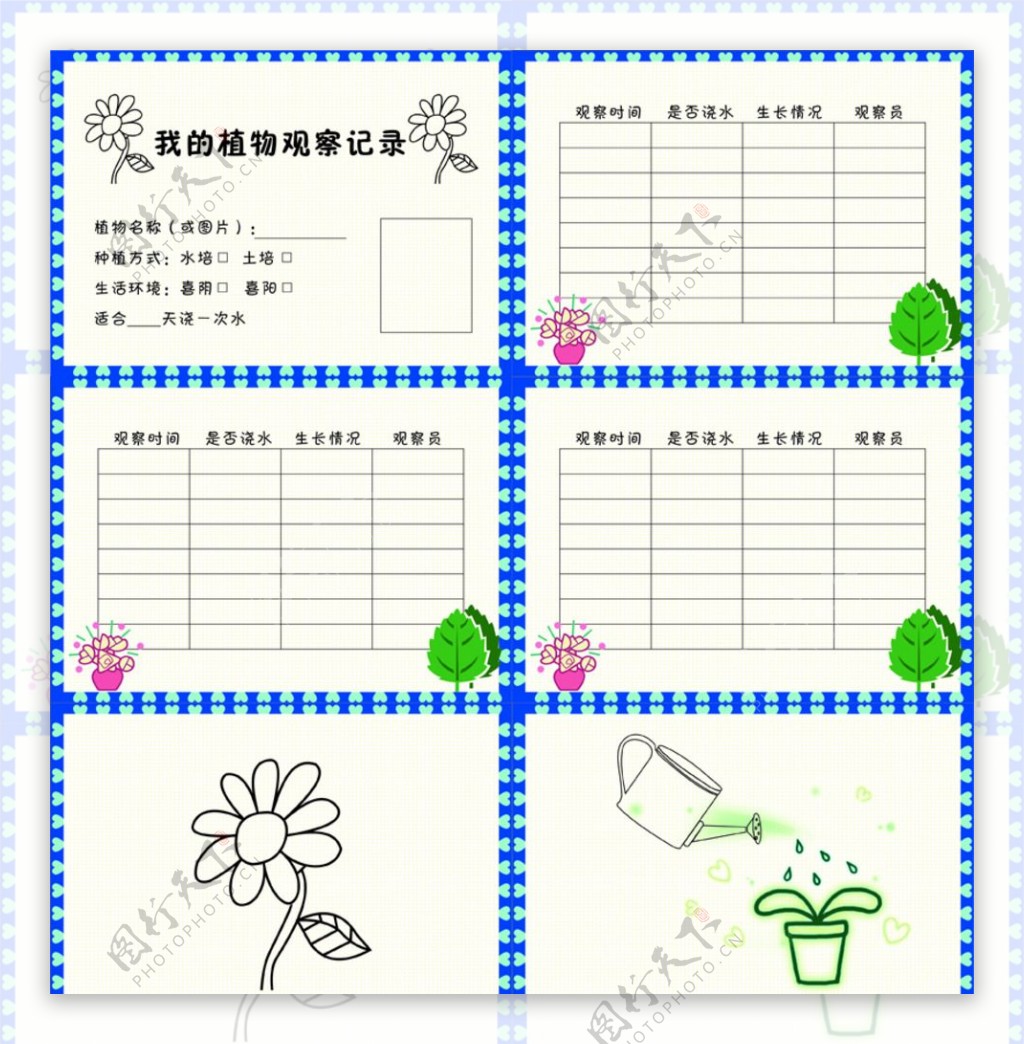儿童课后植物观察日记图片