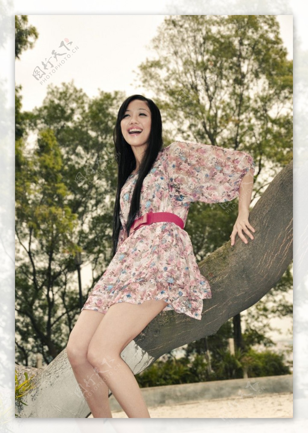 模特坐树上开怀一笑图片