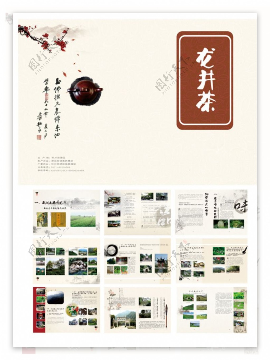 龙井茶折页图片