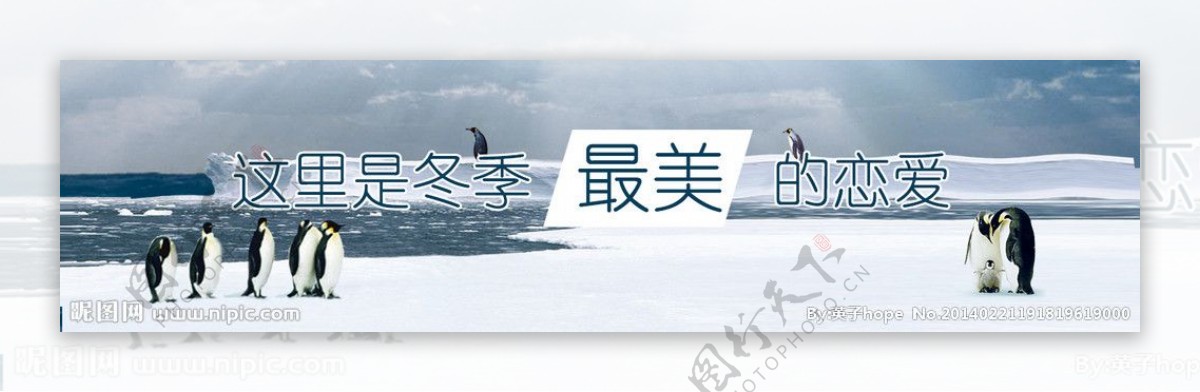 南极banner图片