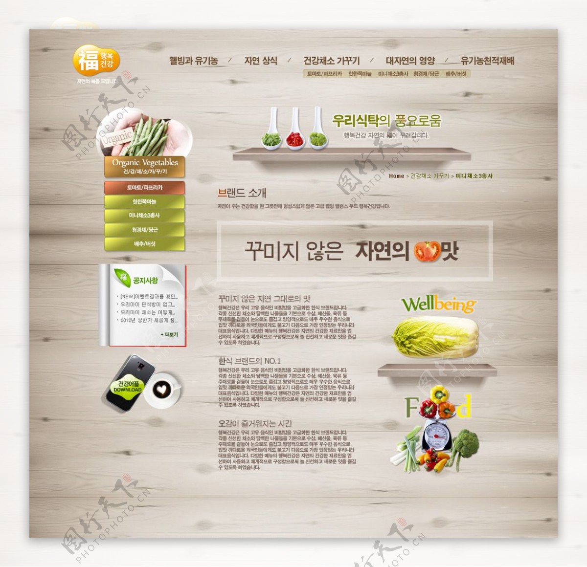 水果蔬菜宣传网页模板图片