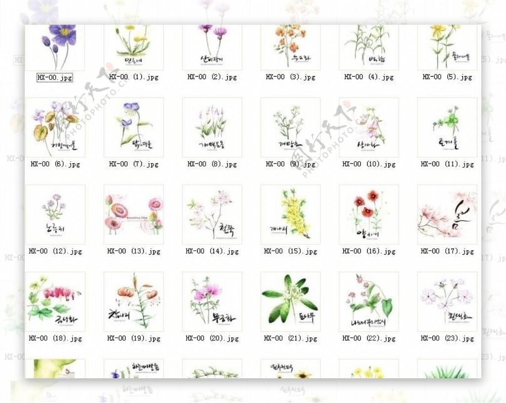 韩式风格各种花朵PSD素材合集30个图片