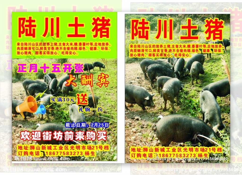 陆川土猪宣传单图片
