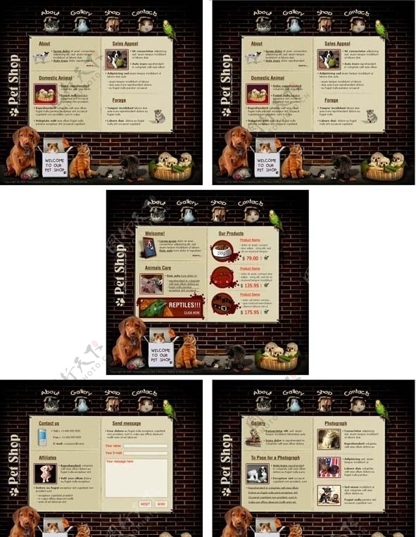 宠物商店信息网页模板图片
