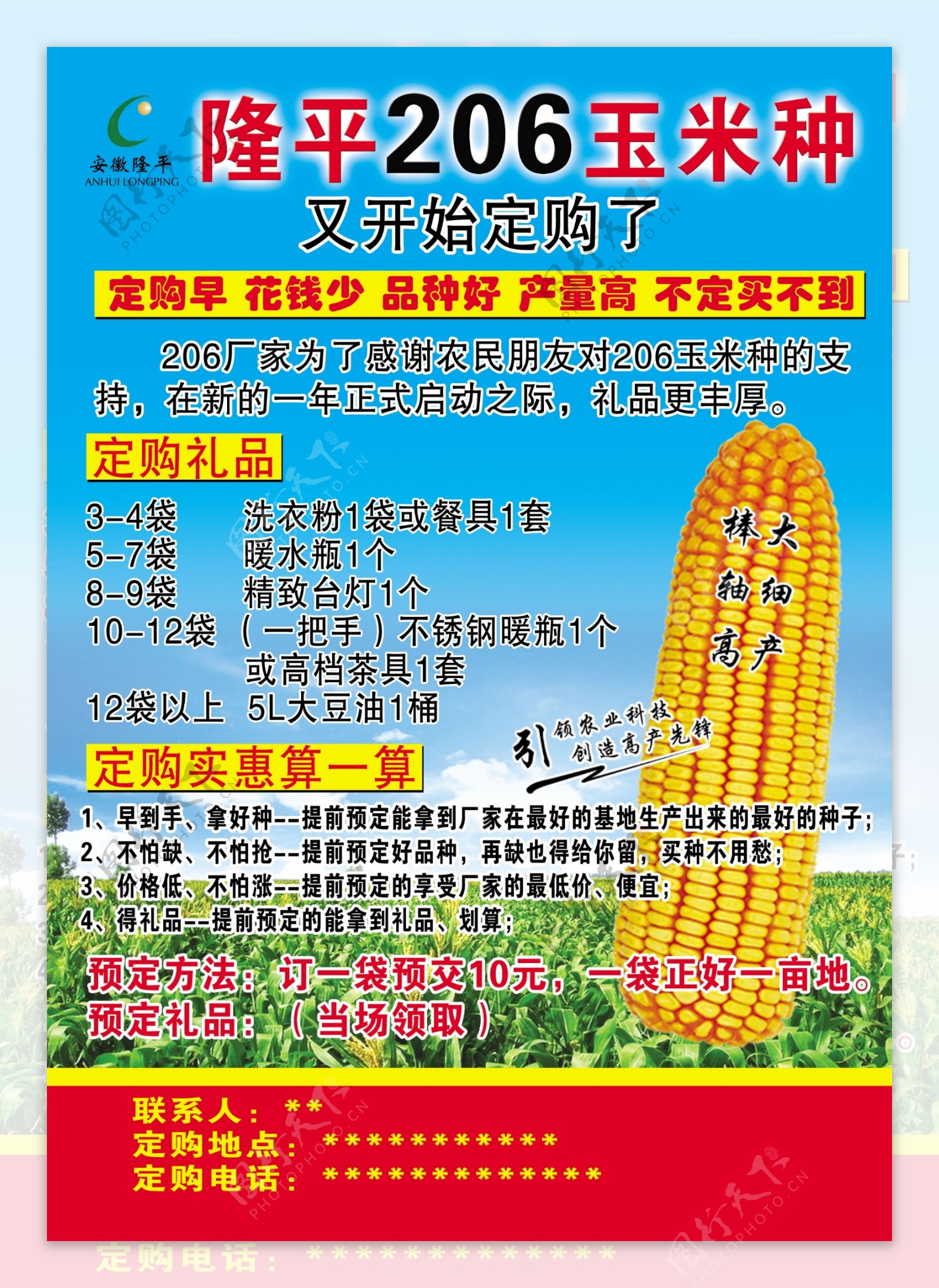 玉米种宣传单图片