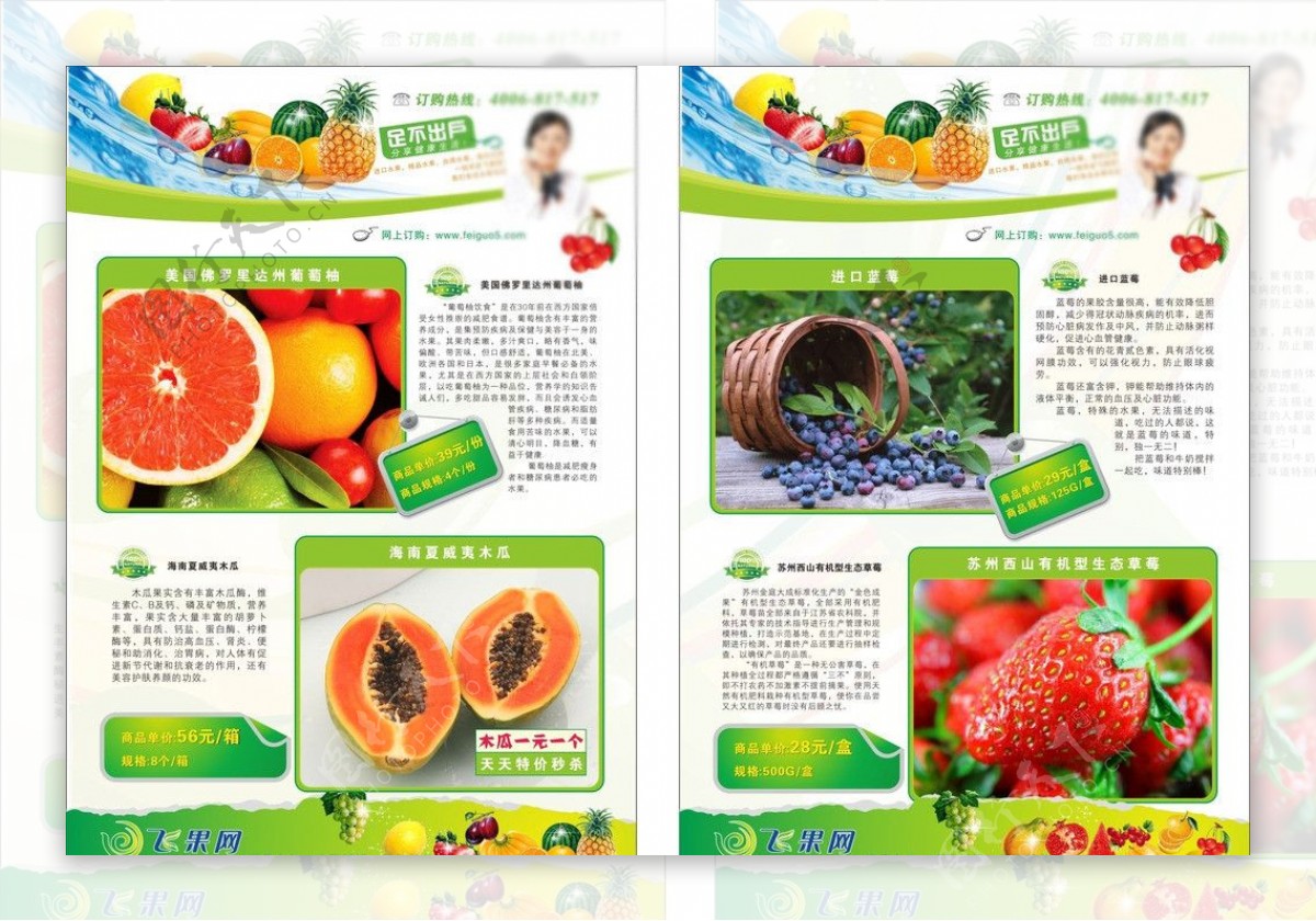 水果网站宣传单图片