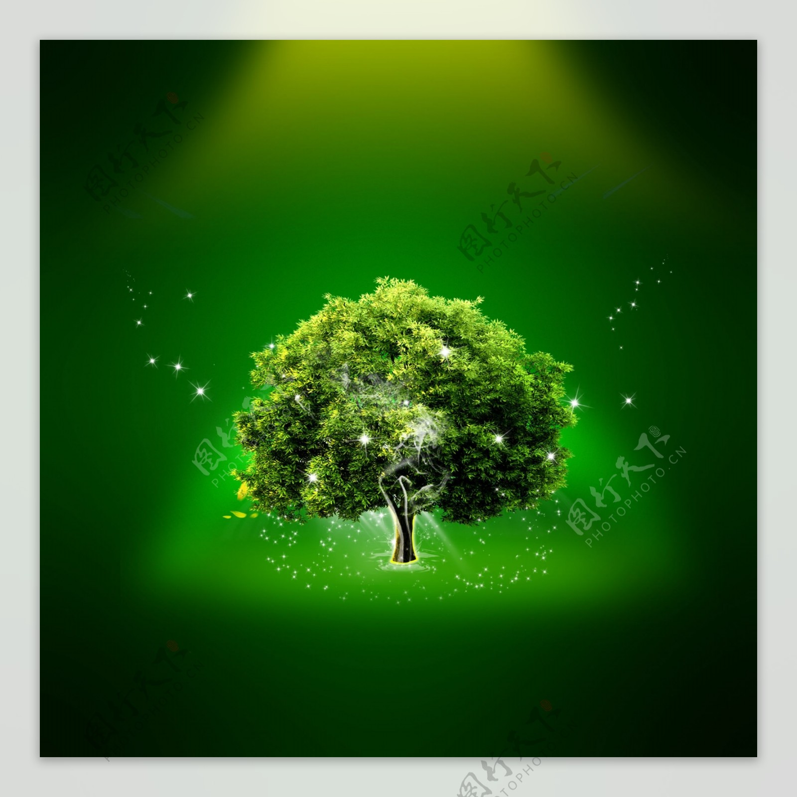 绿色生态图片