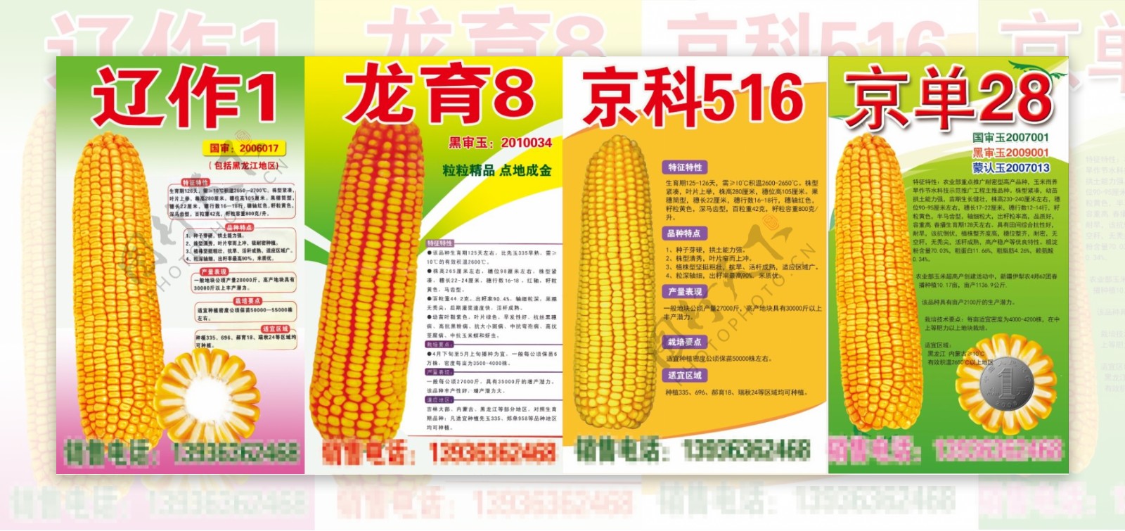 玉米宣传册图片