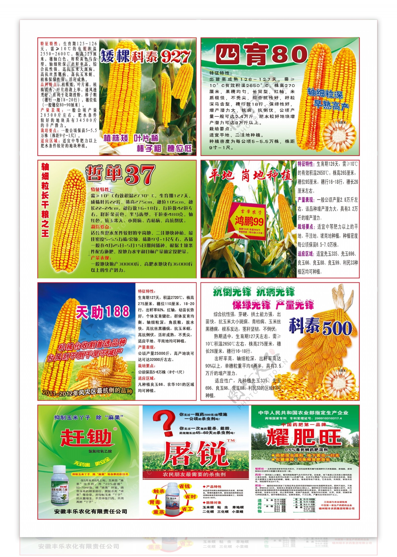 玉米种子化肥宣传单图片