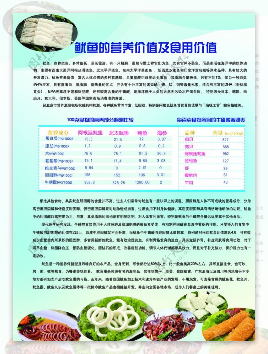 鱿鱼营养价值单页图片