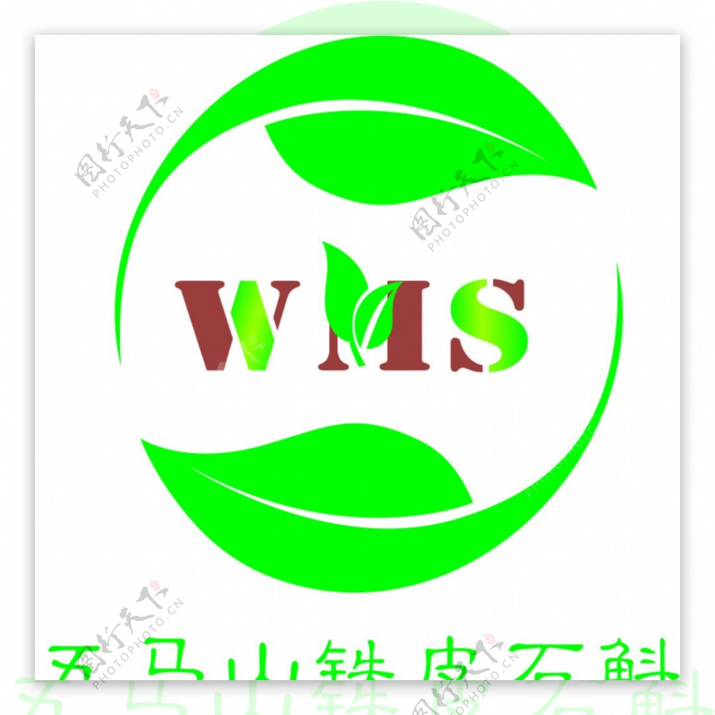 铁皮石斛LOGO图片