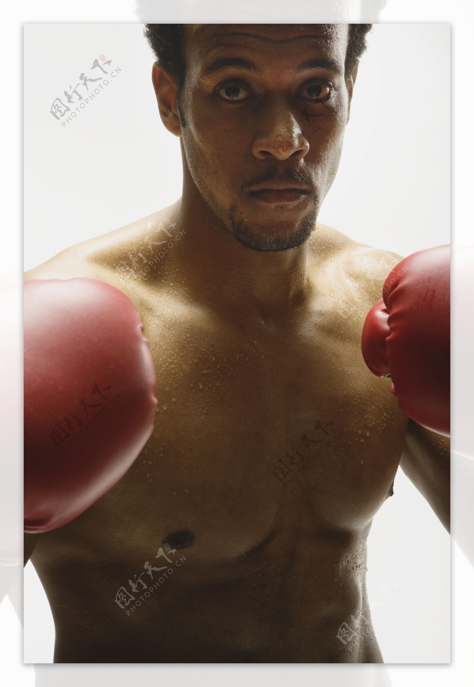 拳击运动员图片